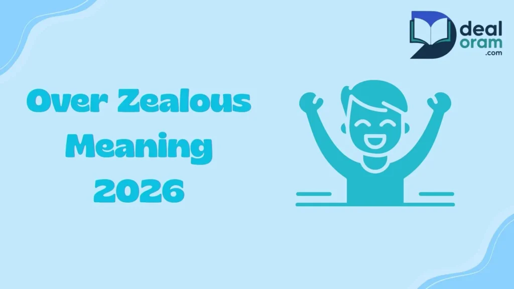 over zealous meaning