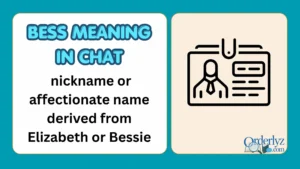 BESS Meaning in Chat
